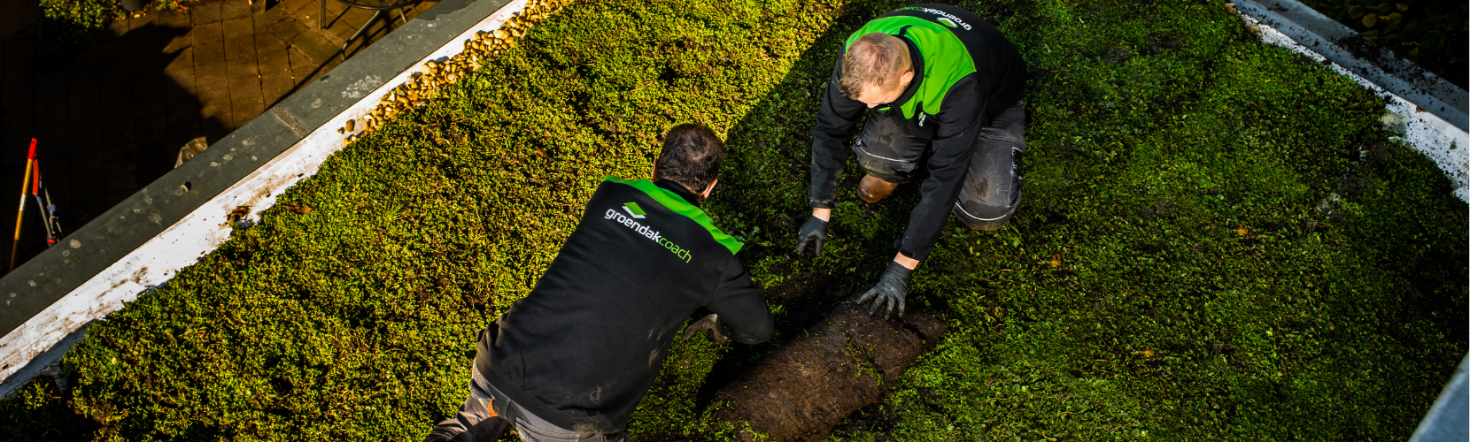 Ontwerp zonder titel (37)